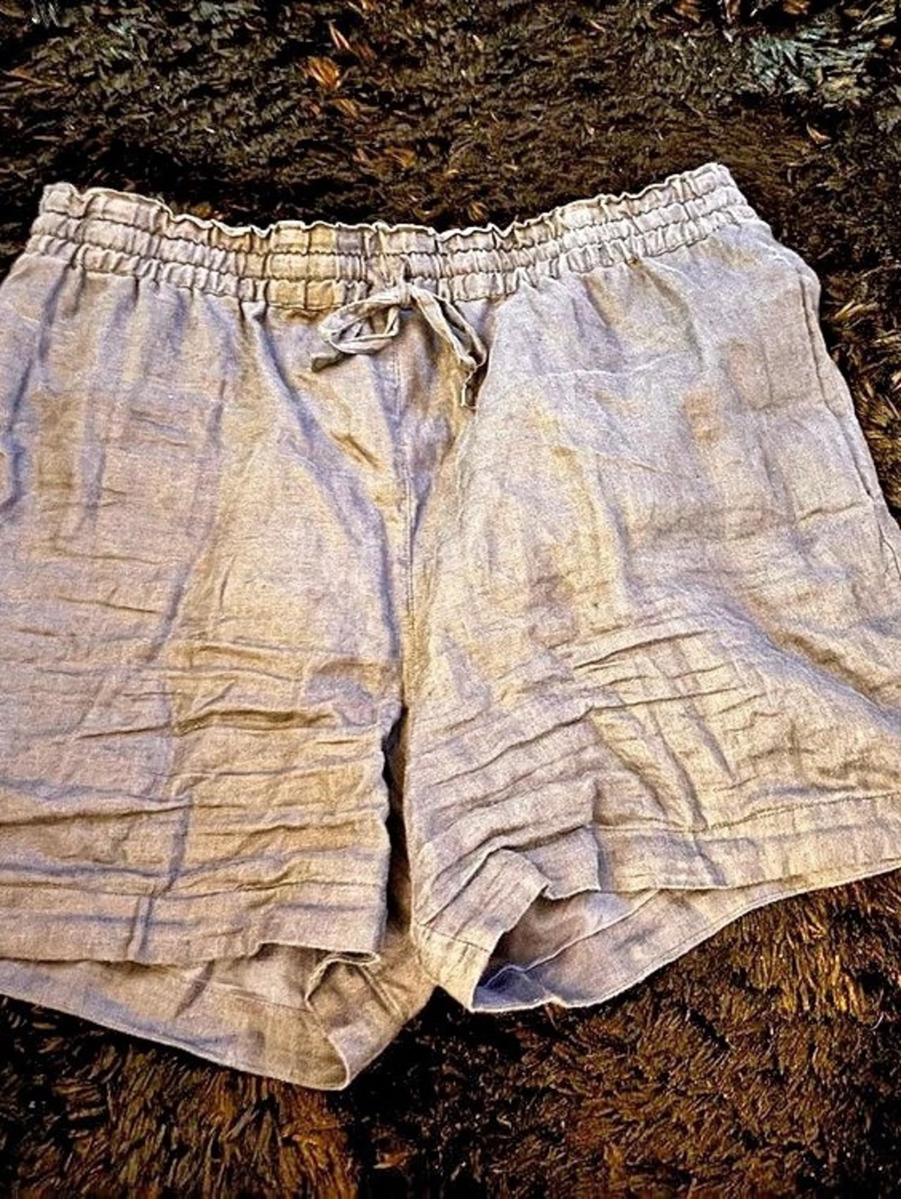 Johnny Was Linen-Style Shorts in Blue Size Medium Like New